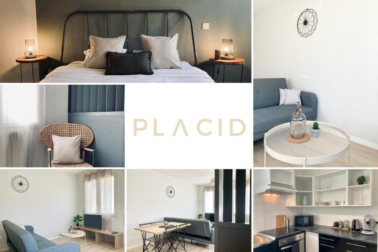 Le Cosy Apartment Mont-de-Marsan Ngoại thất bức ảnh